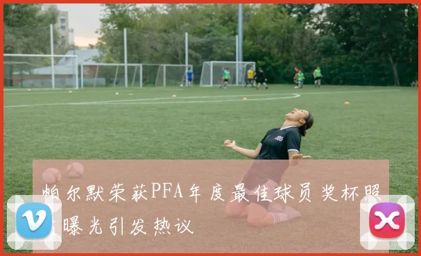 帕尔默荣获PFA年度最佳球员奖杯照片曝光引发热议